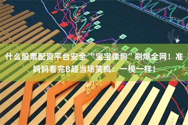 什么股票配资平台安全 “宝宝像狗”刷爆全网！准妈妈看完B超当场笑疯：一模一样！