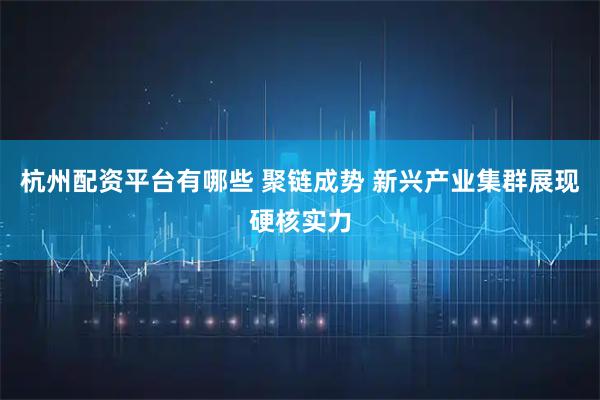 杭州配资平台有哪些 聚链成势 新兴产业集群展现硬核实力