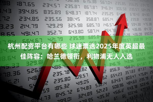 杭州配资平台有哪些 球迷票选2025年度英超最佳阵容：哈兰德领衔，利物浦无人入选