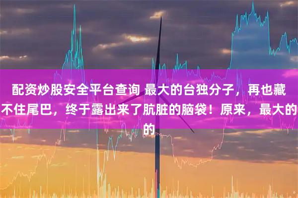 配资炒股安全平台查询 最大的台独分子，再也藏不住尾巴，终于露出来了肮脏的脑袋！原来，最大的