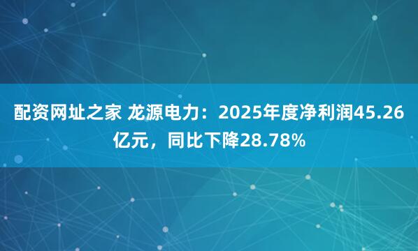 配资网址之家 龙源电力：2025年度净利润45.26亿元，同比下降28.78%