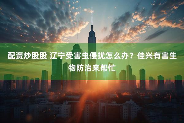 配资炒股股 辽宁受害虫侵扰怎么办？佳兴有害生物防治来帮忙